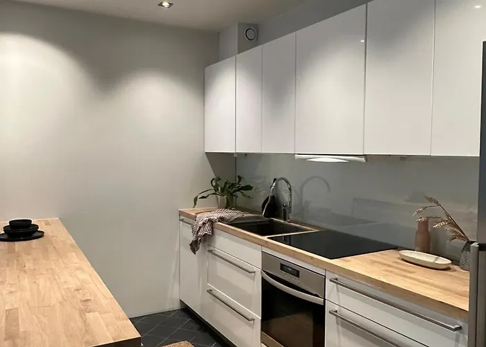 Spacious Scandic In With Sauna Ελσίνκι